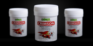 Підсилювач забарвлення BorneoWild Crimson