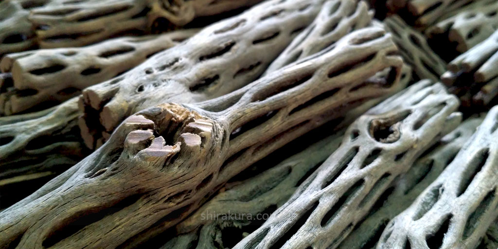 Трубка з кактусу Cholla Трубка з кактусу Cholla