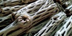 Трубка из кактуса Cholla