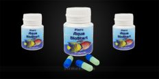 Ptero Aqua Biostart