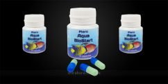 Бактерії Ptero Aqua Biostart