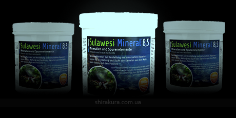 SaltyShrimp Sulawesi Mineral 8,5
